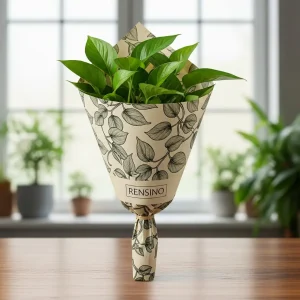 White Paper Cone with Leaf Pattern, Suitable for Gift or Retail Packaging, Custom Design Available