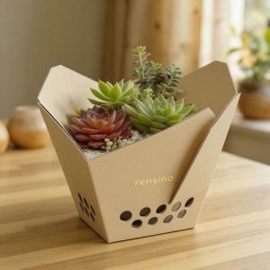Beige Paper Display Box with Succulent Pattern, Suitable for Retail or Gift Display, Customizable by Factory