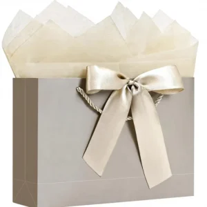 13″ Medium Gift Bags Hand Length Rope Handles Ribbon Coated Paper for Baby Shower Bridal Shower Birthday Parties