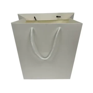 Aseptic Art Paper Carry Bag, Microwave-Safe, Shopping Gift Bag With Handles, Custom Print Logo