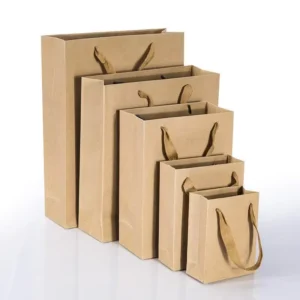 Biodegradable Kraft Paper Portable Bag with Magnetic Closure and Drawstring Handles for Grocery Art Use