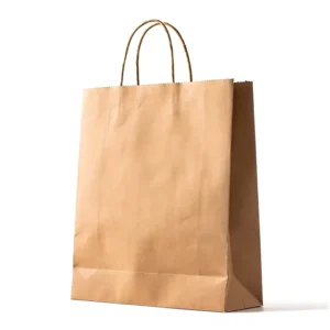 Brown Classic Kraft Paper Bags Twisted Handles DIY Advent Calendar Candle Gift Bags Holiday Treats Baby Shower Birthday Party
