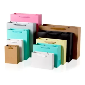 Brown Kraft Cardboard Gift and Shopping Bag with Ribbon Handles