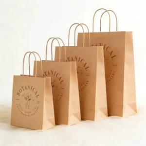 Brown Kraft Paper Takeaway Shopping Bag