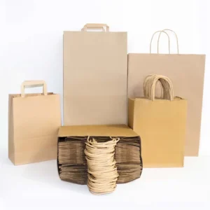 Brown and White Printed Kraft Paper Gift Shopping Bag