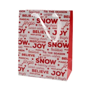 Cardboard Gift Bag With Ribbon Handle Paper Shopping Bag