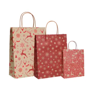 Christmas Kraft Paper Gift Bag with Custom Printing and Twisted Handles