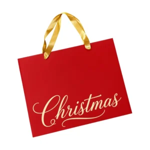 Christmas Kraft Paper Gift Bag with Twisted Handle and Recycled Materials
