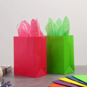 Christmas Paper Gift Bag