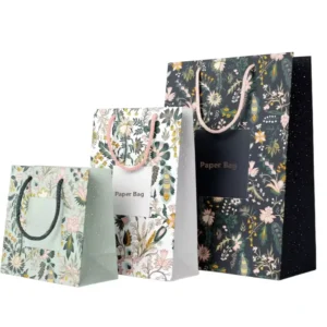 Classic Gravure Printed Recyclable Hard Paper Shopping Gift Bag with Ribbon Handle for Christmas, Customized