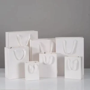 Coated Paper Bag with Rope Handles for Clothing and Gifts, Custom Printed Logo, Satin Carton MC