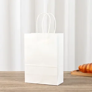 Colored Paper Bag with Double-Wall Structure and Strong Handle for Heavy Items