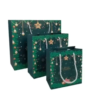 Colorful Kraft Paper Gift Bags for Clothing and Jewelry Packaging with Handles