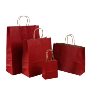 Colorful Paper Gift Bags with Handle and Your Own Logo Printing for Dresses