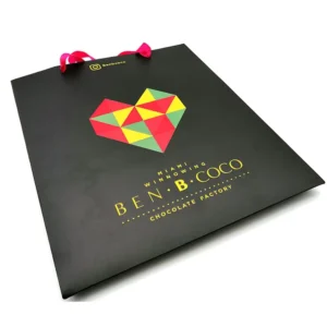 Custom Art Paper Gift Packaging Shopping Bag Recyclable Kraft Paper Bags