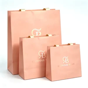 Custom Biodegradable Embossed Paper Gift Bag with Ribbon Handles and Logo