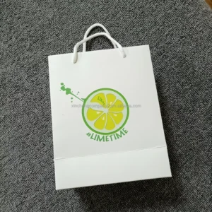 Custom Biodegradable Recycled Cardboard Paper Gift Bag with Ribbon Handle for Perfume and Cosmetics