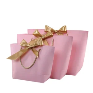 Custom Coated Paper Shopping and Wedding Gift Bags with Ribbon Tie, Offset Printing, Recyclable