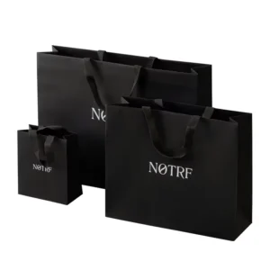 Custom Craft Gift Carry Paper Bags for Clothing and Shoes Packaging with Logo