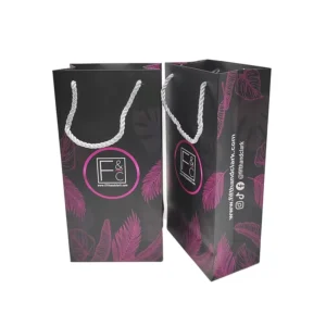 Custom Eco-Friendly Paper Bags for Shoes and Clothing, Paper Gift Bags, Handbags