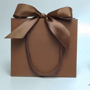 Custom Eco Friendly Recyclable Luxury Cosmetics Jewelry Debossing Lamination Silver Hot Stamping Shopping Kraft Gift Bag Ribbon