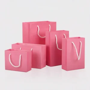 Custom Eco-Friendly Wedding Gift Packaging Paper Bag with Printed Logo