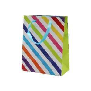 Custom Gift Shopping Paper Bag with Custom Color, Logo, and Size