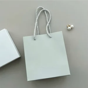 Custom High Quality Biodegradable Gift Paper Bags Folded Promotional Paper Shopping Bags with Logos
