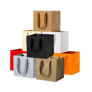 Custom Kraft Cardboard Gift and Shopping Bag for Clothing Packaging