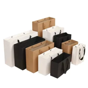 Custom Kraft Paper Gift and Clothing Shopping Bag