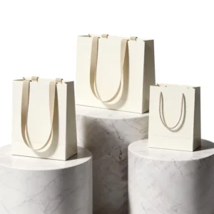 Custom Kraft Paper Shopping Bag for Holiday Party and Boutique Packaging