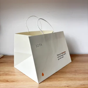 Custom Kraft Paper Shopping Gift Bag with Handle, Recyclable, Custom Logo and Printing