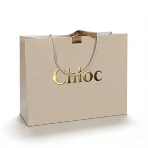 Custom Kraft Paper Shopping Gift Bag with Handle for Clothing, Mini, Printed Logo