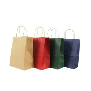 Custom Kraft Paper Shopping Gift Bags with Handles