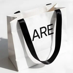 Custom Logo Design Paper Gift Packaging Shopping Bag with Ribbon Handle