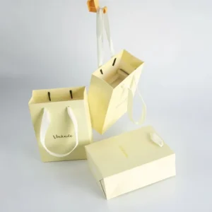 Custom Logo Light Yellow Paper Gift Bag Set with Ribbon Handle for Clothing and Jewelry Packaging