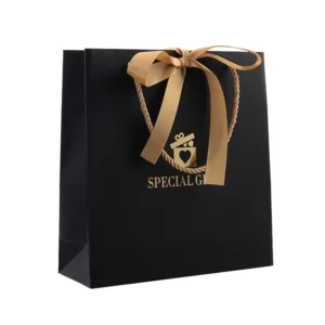 Custom Logo Paper Shopping Bag with Ribbon Handles for Cosmetics, Clothing, Shoes, and Gifts