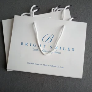 Custom Logo Printed Art Paper Gift Bags and Craft Paper Shopping Bags