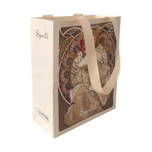 Custom Logo Printed Paper Gift Bag with Ribbon Handle for Wedding, Birthday, Holiday, Cosmetic and Jewelry Packaging