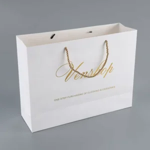 Custom Logo Printed Recyclable Cardboard Shopping Gift Bag with Handle