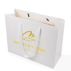Custom Logo-Printed Wedding Gift Paper Shopping Bag with Handle