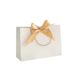 Custom Paper Gift Bag for Garment, Shopping, and Packaging