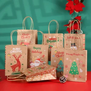 Custom Paper Gift Bag for Special Occasions