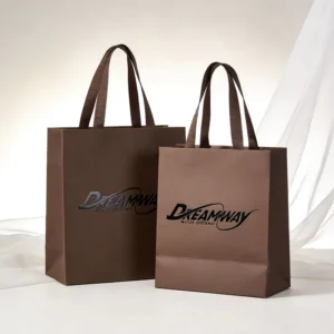 Custom Paper Gift Bag with Printed Logo, Matte Finish, Rigid Paper, for Jewelry and Perfume