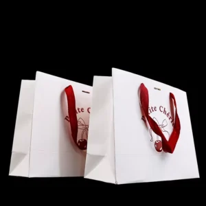 Custom Paper Gift Bags for Clothing, Jewelry, and Retail Packaging