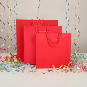 Custom Paper Gift Bags with Handles for Holiday Gift Packaging