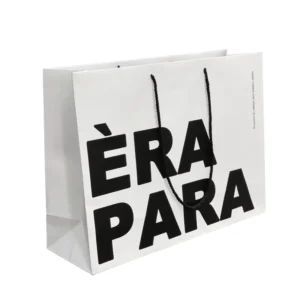 Custom Paper Packaging Gift Bag with Logo