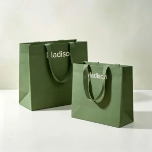 Custom Printed Cardboard Craft Shopping Gift Bag with Handles