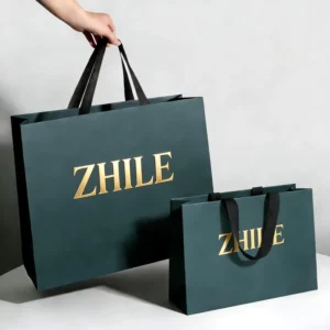 Custom Printed Cardboard Jewelry Gift Paper Shopping Bag with Logo