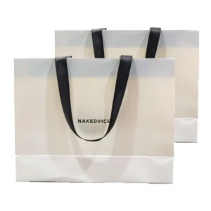 Custom Printed Cardboard Paper Gift Bag with Ribbon Handle and Logo